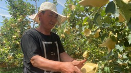 天水甘谷禮辛鎮：紅色引擎驅動 走出文旅農康融合特色發展之路
