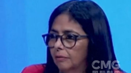 視頻丨委內瑞拉副總統稱美國言論太荒謬_fororder_02