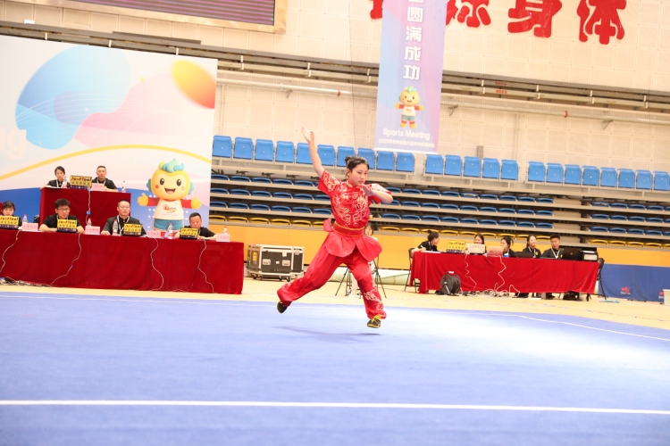 天水市武術選手在全省中運會勇奪三金五銀五銅