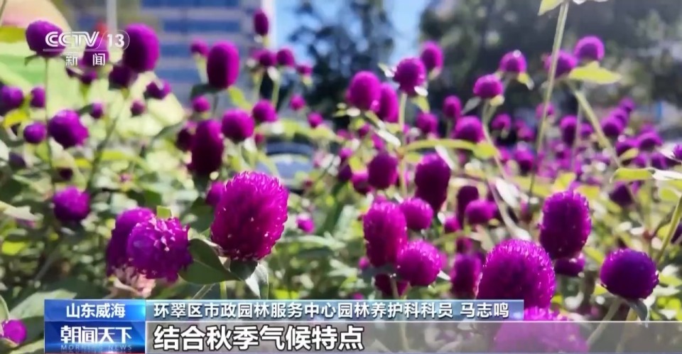 喜迎國慶 國旗鮮花扮靚各地街頭