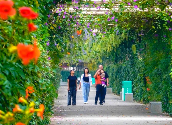 Explore Nansha's Autumn Scenery_fororder_圖片4