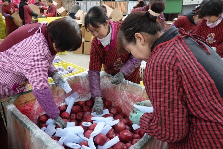 習近平總書記引領中國從脫貧攻堅邁向鄉村全面振興