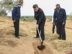 【講習所·追光的你】習近平用“四個最”詮釋勞動觀_fororder_推薦圖