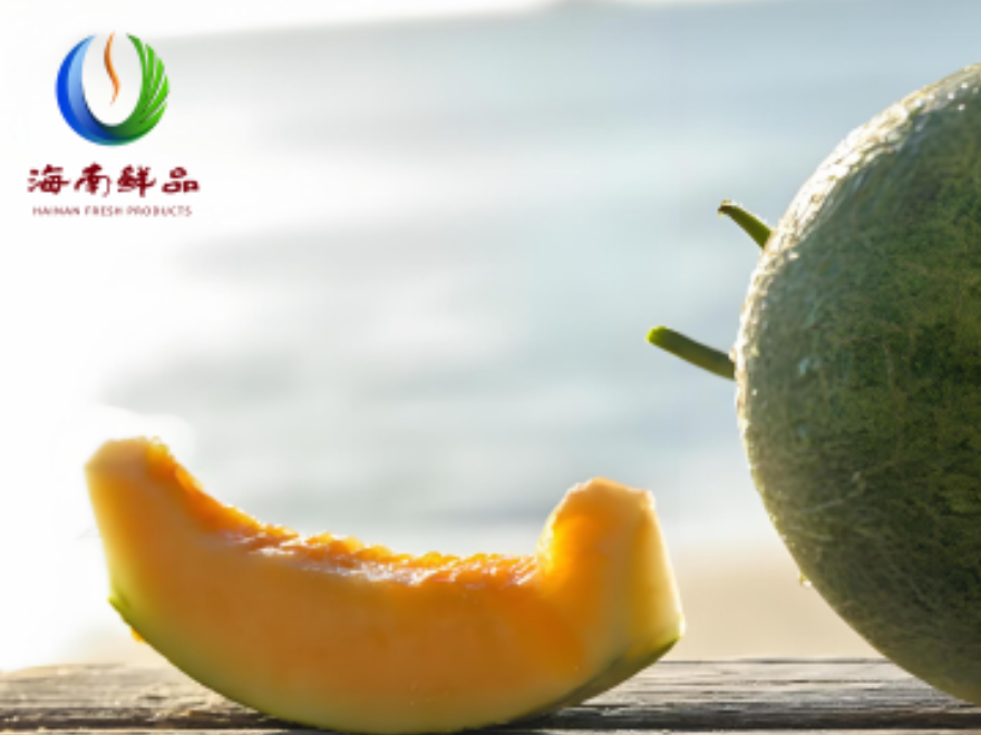 北緯18度的黃金蜜語：一顆蜜瓜的冬日饋贈_fororder_111