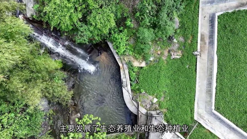 新華視點｜生態治理繪就綠色發展畫卷
