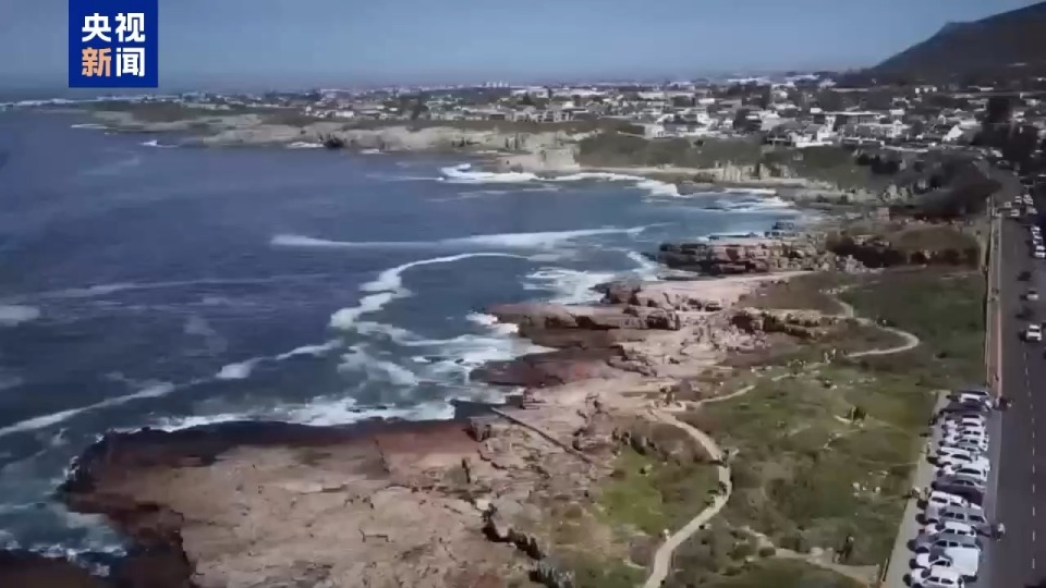 記者Vlog丨南非赫曼努斯“鯨魚節” 生態與文化交織的海洋盛會