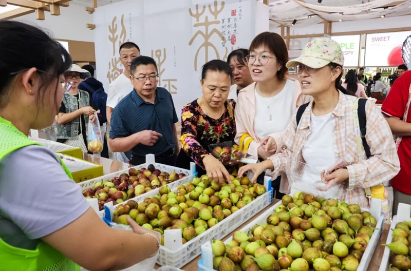 옌타이 후이리 농업박람원, 자오둥 문화관광의 새로운 랜드마크로 부상_fororder_圖片2