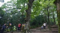 圖片默認標題