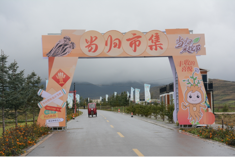 定西岷縣電商賦能鄉村振興 當歸採挖節書寫助農增收新篇章