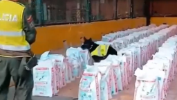 哥倫比亞查獲近十年最大宗毒品案 價值超3億美元_fororder_20251122120433448