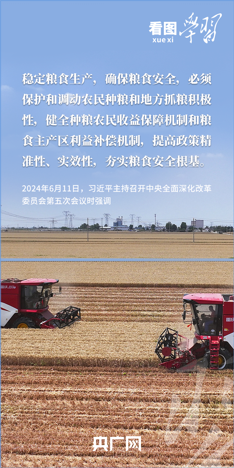 看圖學習丨“三夏”時節豐收忙 總書記強調糧食生産年年要抓緊