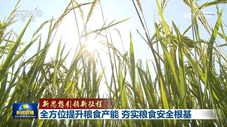 【新思想引領新征程】全方位提升糧食産能 夯實糧食安全根基