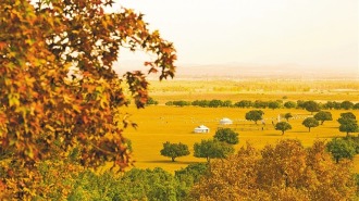 興安盟：北疆楓韻醉遊人