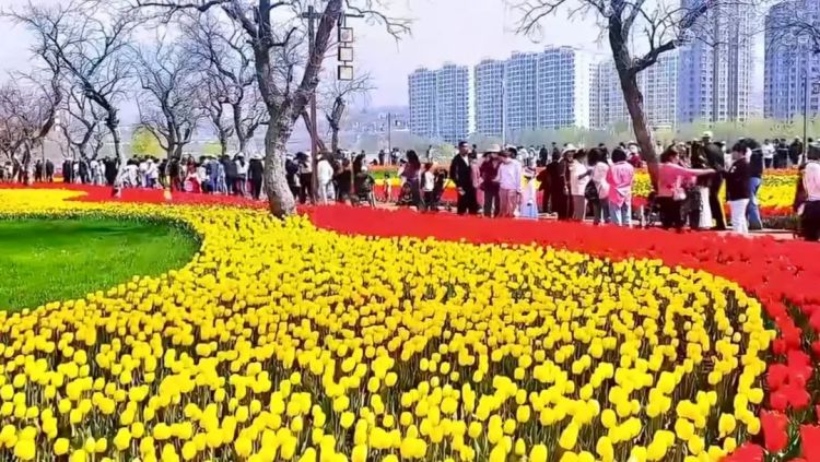 “五一”黃金周完美收官——70多萬遊客平安暢遊零事故，全域聯動書寫文旅安全保障“高分答卷”_fororder_劉家峽浪漫黃河花堤