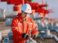 群英聚天山 攜手築夢想——新時代青年紮根新疆建功立業觀察