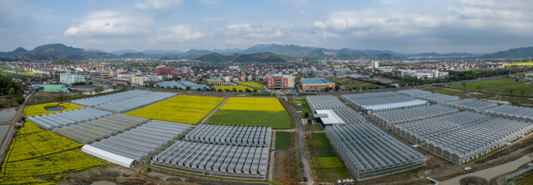 浙江民營企業如何重塑鄉村振興新生態？
