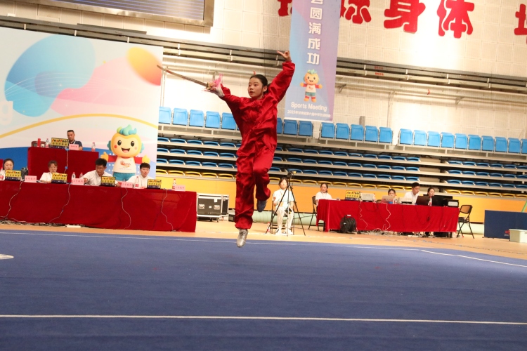天水市武術選手在全省中運會勇奪三金五銀五銅_fororder_女子.JPG