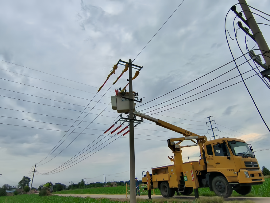 State Grid Shaanxi Power Supply Company: Electric Power Fuels Rapid Growth of Modern Agriculture_fororder_圖片2