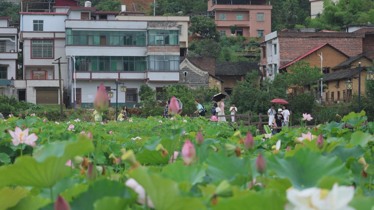 湖南衡陽縣鄉村“自駕遊”掀熱潮 激發基層文旅消費新動能_fororder_圖片5