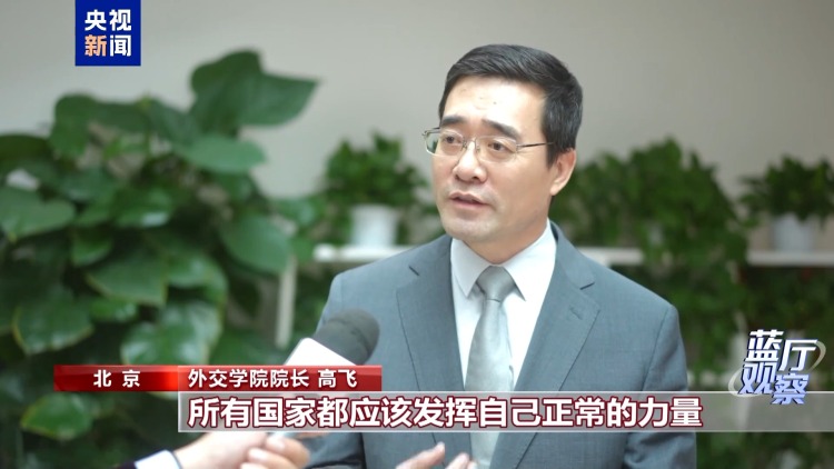 藍廳觀察丨從這場記者會 讀懂中國外交