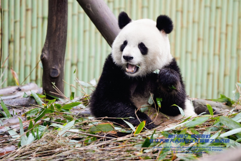 Уезд Чжоучжи использует экологию и культуру в качестве проводника для создания «мировой гостиной»_fororder_1