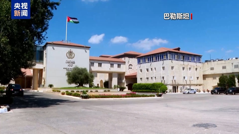 法國專家：多國承認巴勒斯坦國 國際社會對以色列日益不滿
