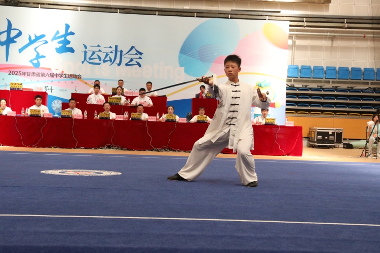天水市武術選手在全省中運會勇奪三金五銀五銅_fororder_16.JPG