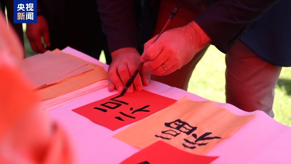 南非開普敦龍舟競渡慶端午 中非文化交融展風采