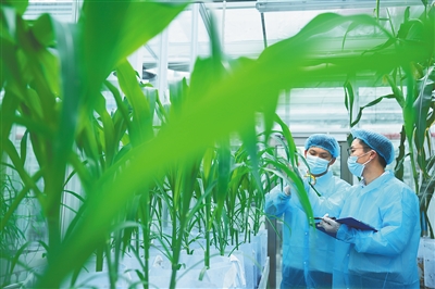 全球動植物種質資源引進中轉基地服務中心在三亞揭牌