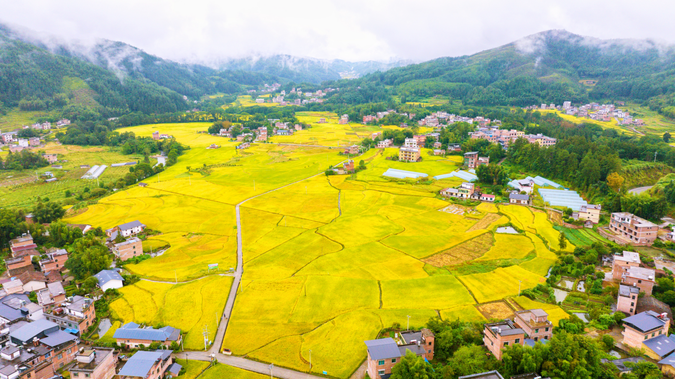 湖南桂東村廚大賽點燃鄉村振興"煙火氣"_fororder_圖片20