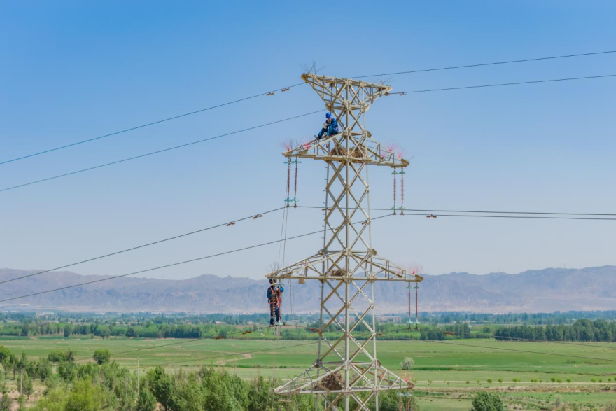 State Grid Zhangye Power Supply Company: Protecting Migratory Birds and Promoting Biodiversity_fororder_圖片7