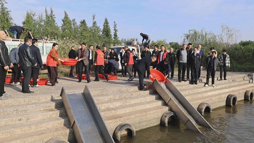 湖南衡陽縣81萬尾魚苗人工放流蒸水河_fororder_1