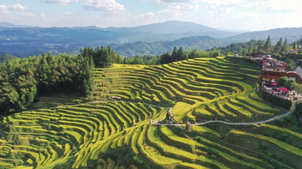 圖片默認標題_fororder_res07_attpic_brief