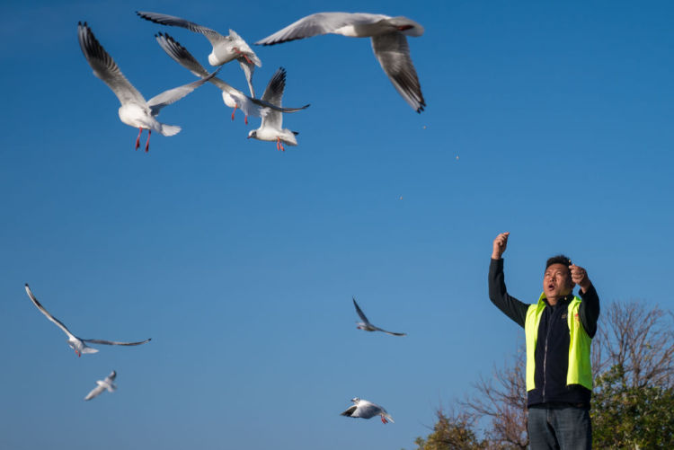 鏡觀·迴響丨弘揚奉獻、友愛、互助、進步的志願精神