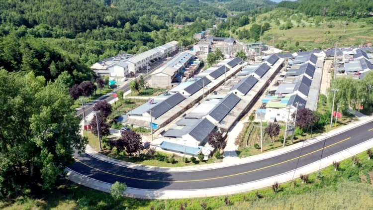 沃野綻新顏 鄉村譜華章——天水市清水縣2025年上半年農業農村工作綜述_fororder_1753434177754020998