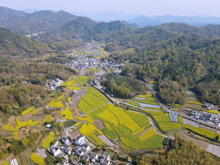 徽州區打造徽風皖韻宜居宜業和美鄉村新樣板_fororder_1