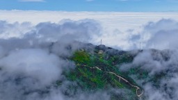 山水“流量”變“留量” 湖南桂東蹚出富民路