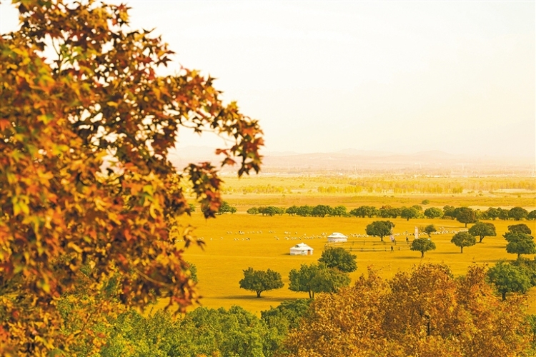 興安盟:北疆楓韻醉遊人_fororder_4