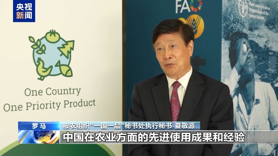 聯合國糧農組織官員：中方有力支持發展中國家發展特色農産品