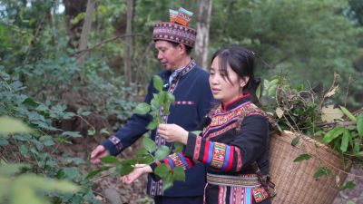 "Silver-haired" Health and Wellness Paints a Happy Portrait of Jianghua, Hunan