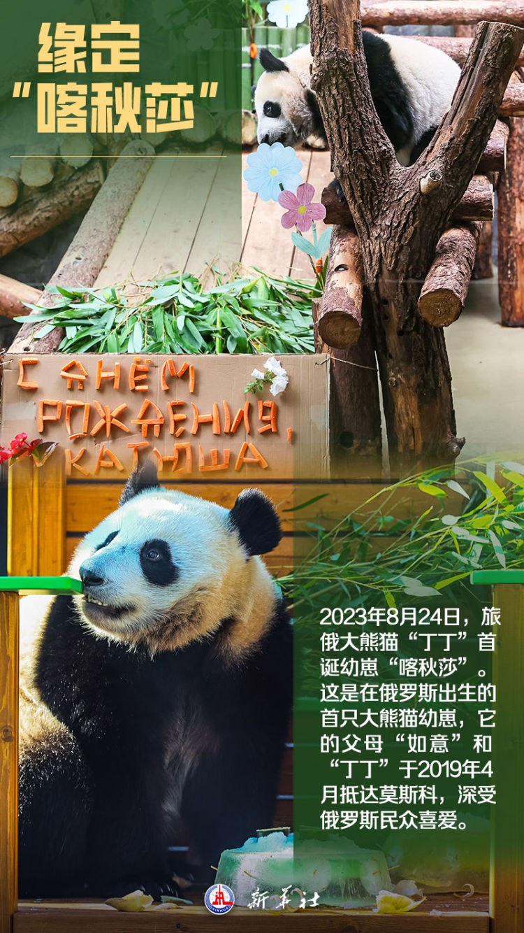 海報 | 你好，俄羅斯