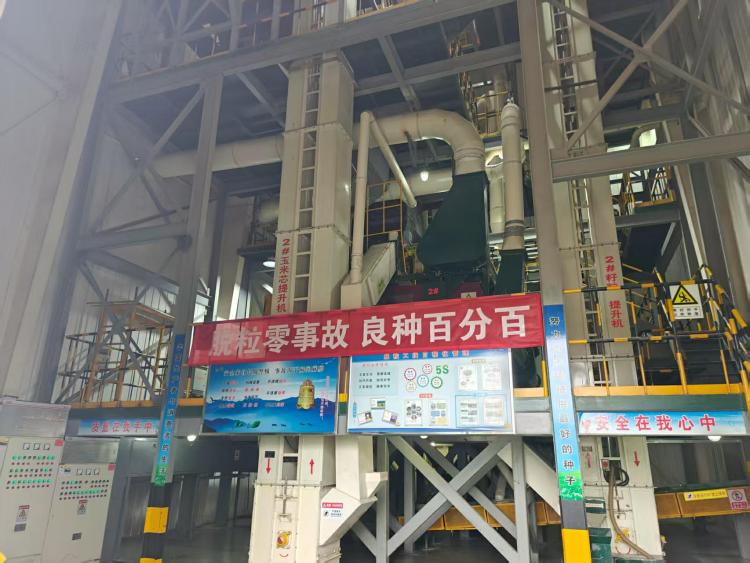 敦煌種業：科創賦能築牢糧安根基，隴原種企邁向國際舞臺​_fororder_9