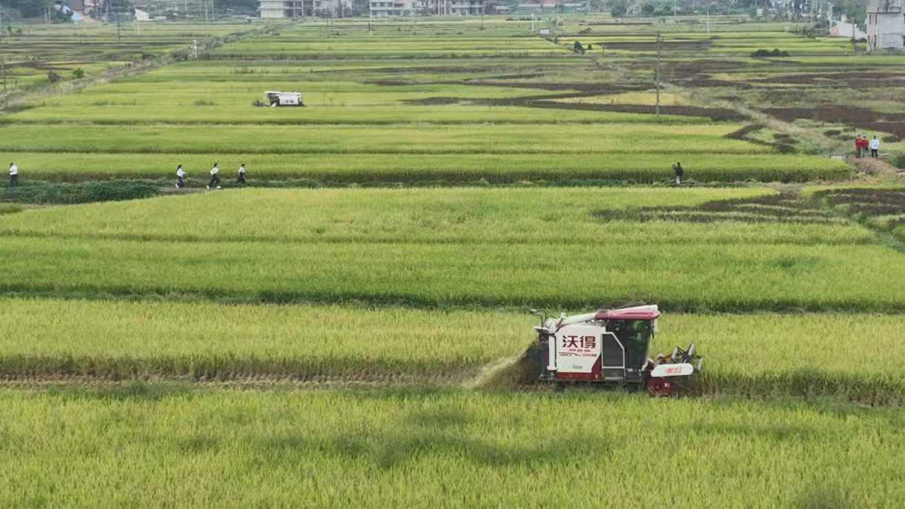 湖南衡陽縣農民趣味運動會慶豐收_fororder_2