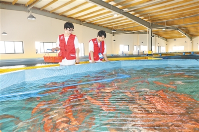 推進“政産學研用”深度融合 海南已建成136家科技小院