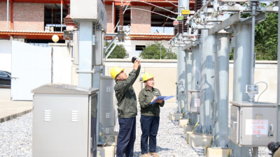 Nanyang, Henan: Reliable Power Supply Fuels Growth of the Moxibustion Industry