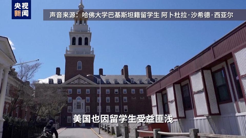 視評線丨2+2=？特朗普給哈佛出的題，白宮考砸了