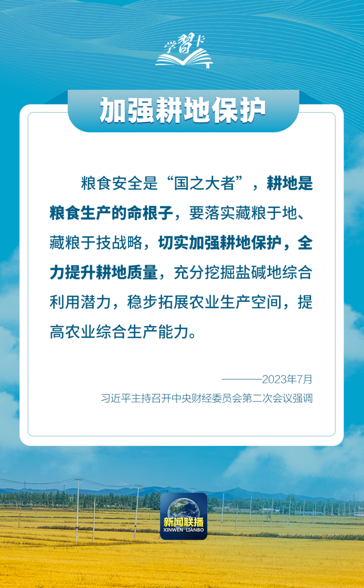 學習卡丨如何端穩端牢中國飯碗？總書記這樣闡釋