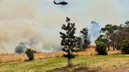 澳大利亞發生森林大火 已致1人死亡