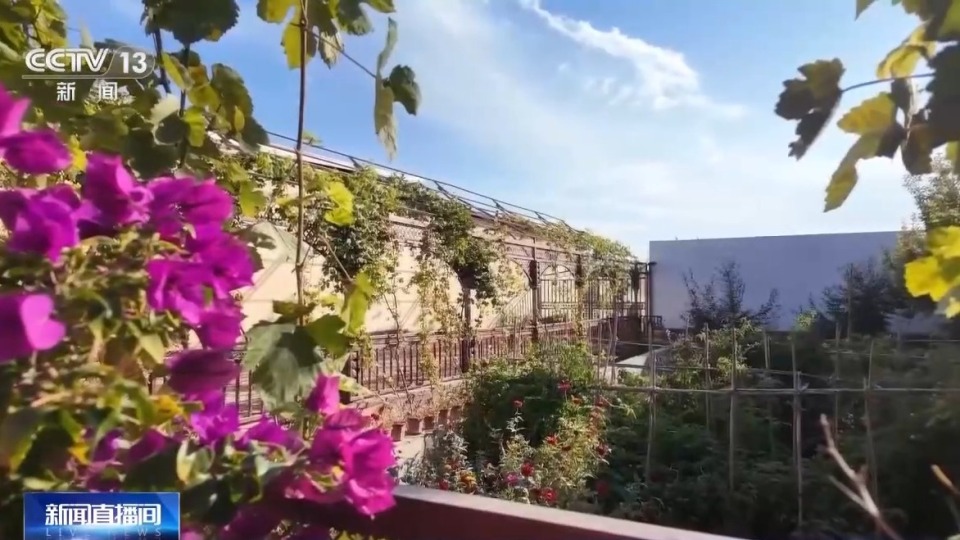砥礪奮進七十載 天山南北譜華章丨農文旅融合 激活新疆鄉村振興新活力
