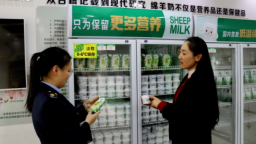 金昌稅務合規護航“中國奶綿羊”奮蹄前行